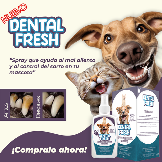 Oral Fresh Pet